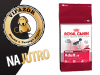 Royal Canin MEDIUM Adult - 15kg