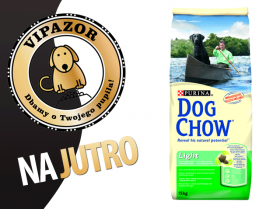 Dog Chow Light Turkey - 15kg