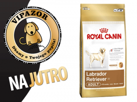 Royal Canin Labrador Retriever Adult - 12kg