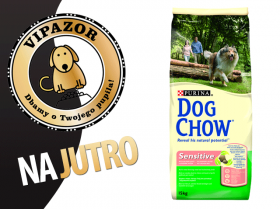 Dog Chow Sensitive Salmon&Rice - 15kg