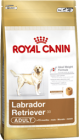 Royal Canin Labrador Retriever Adult - 12kg