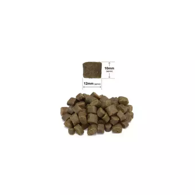 ARQUIVET FRESH Półwilgotna karma dla psa indyk i ryba oceaniczna 2x10 kg