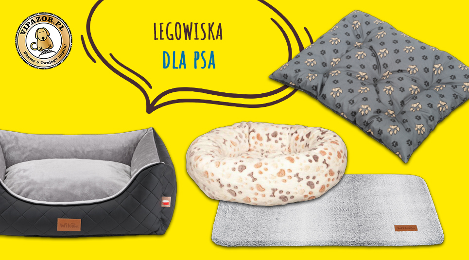 Jak przygotować wyprawkę dla szczeniaka - legowiska