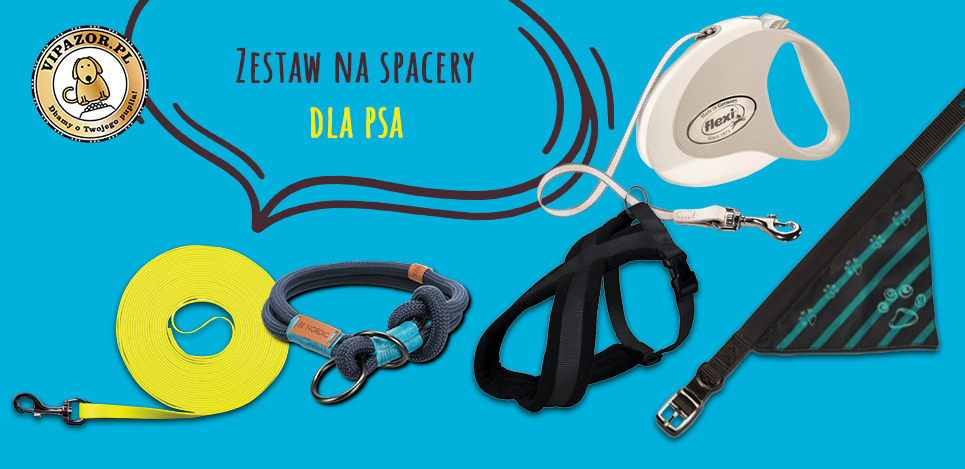 Jak przygotować wyprawkę dla szczeniaka - zestawy na spacery